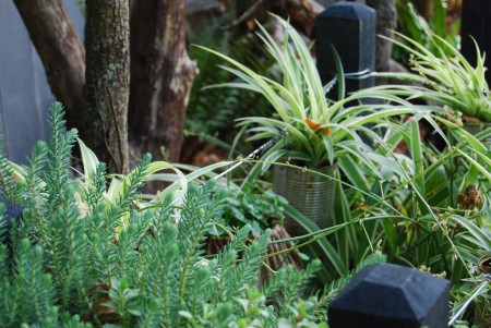 Le jardin du 'Laboratoire' bacs de culture