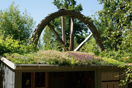 Toit végétalisé sur cabanon en bois