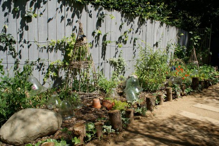Les plantes ont colonisé l'espace...