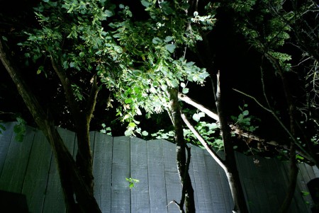 Clôture en bois aspect vieilli