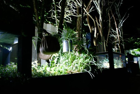 Vue nocturne