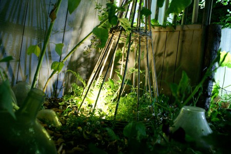 Cloche nocturne