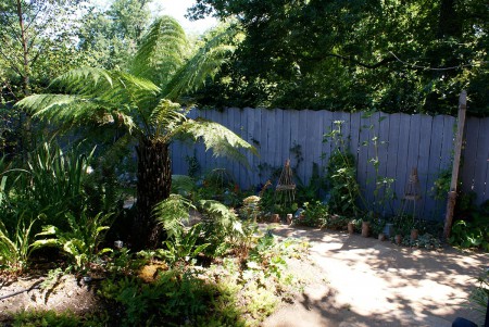 Vue ensoleillée des écosystèmes 'cloche'