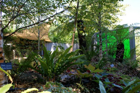 Ambiance forêt primitive