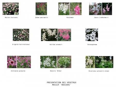 Palette végétale du plan de plantation précédent