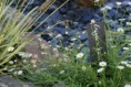 /album/jardin-therapeutique-en-unite-alzheimer-pleurtuit-35-/dsc04737-jpg/