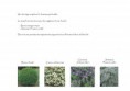/album/etude-de-restructuration-de-massifs-dans-un-parc-dinard-35-/pages-ecrites1-jpg/