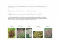 /album/etude-de-restructuration-de-massifs-dans-un-parc-dinard-35-/pages-ecrites4-jpg/
