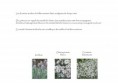 /album/etude-de-restructuration-de-massifs-dans-un-parc-dinard-35-/pages-ecrites10-jpg/