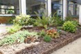 /album/jardin-therapeutique-en-unite-alzheimer-pleurtuit-35-/dsc04447-jpg/
