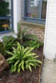 /album/jardin-therapeutique-en-unite-alzheimer-pleurtuit-35-/dsc04459-jpg/